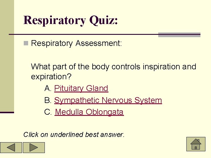 Respiratory Quiz: n Respiratory Assessment: What part of the body controls inspiration and expiration?