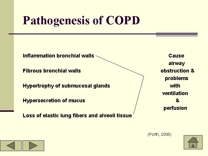 Pathogenesis of COPD Inflammation bronchial walls Fibrous bronchial walls Hypertrophy of submucosal glands Hypersecretion