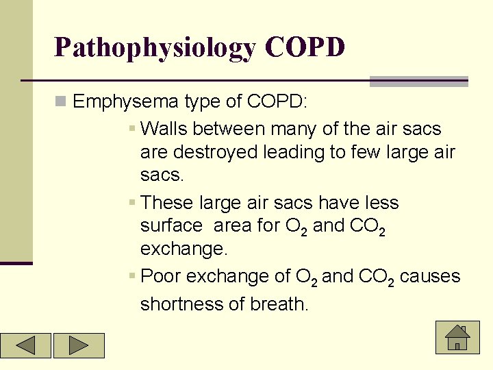 Pathophysiology COPD n Emphysema type of COPD: § Walls between many of the air