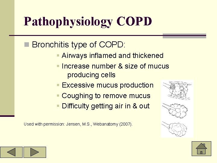 Pathophysiology COPD n Bronchitis type of COPD: § Airways inflamed and thickened § Increase