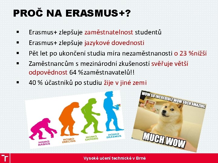 PROČ NA ERASMUS+? § § § Erasmus+ zlepšuje zaměstnatelnost studentů Erasmus+ zlepšuje jazykové dovednosti