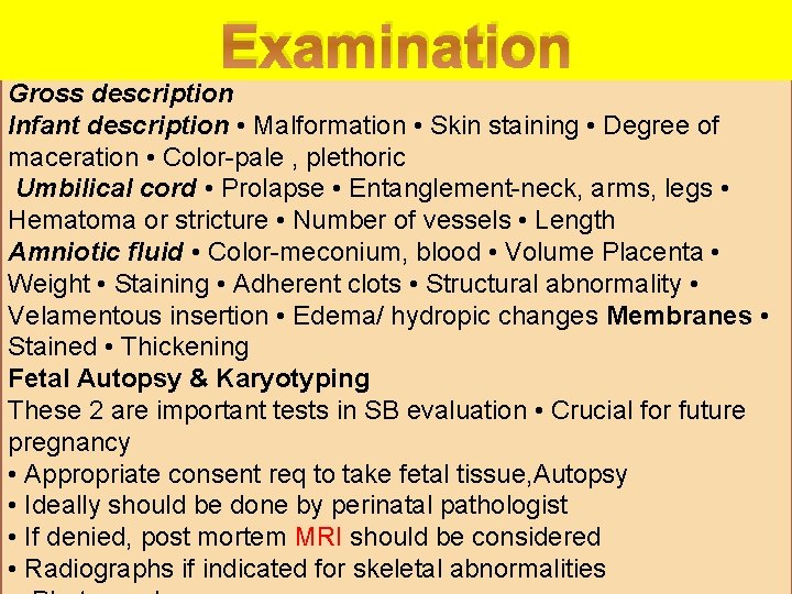 Examination Gross description Infant description • Malformation • Skin staining • Degree of maceration