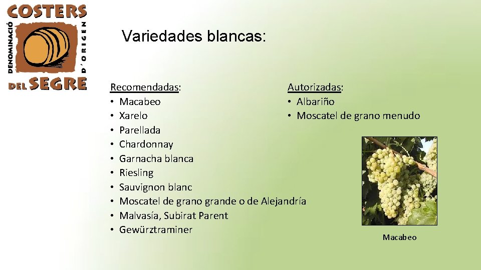 Variedades blancas: Recomendadas: Autorizadas: • Macabeo • Albariño • Xarelo • Moscatel de grano