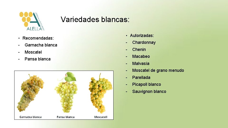 Variedades blancas: • Recomendadas: - Garnacha blanca - Moscatel - Pansa blanca • Autorizadas: