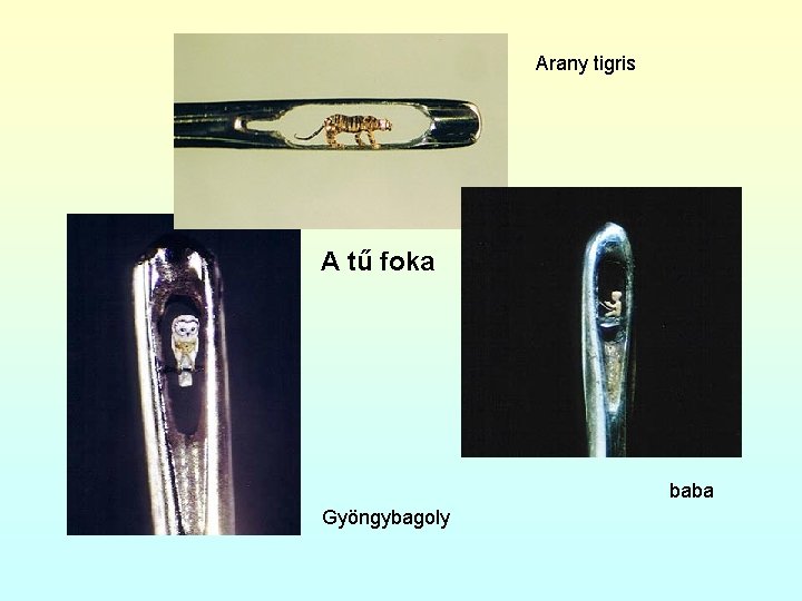 Arany tigris A tű foka baba Gyöngybagoly 