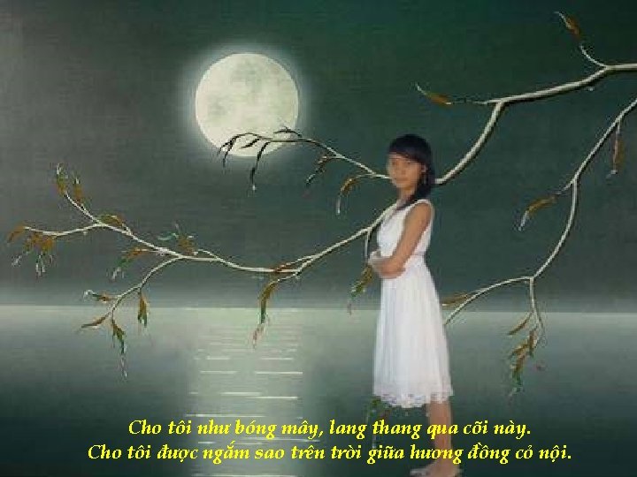 Cho tôi như bóng mây, lang thang qua cõi này. Cho tôi được ngắm