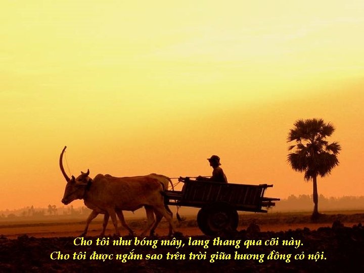 Cho tôi như bóng mây, lang thang qua cõi này. Cho tôi được ngắm