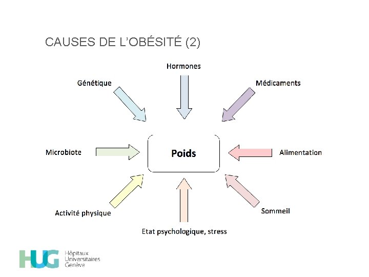 CAUSES DE L’OBÉSITÉ (2) 