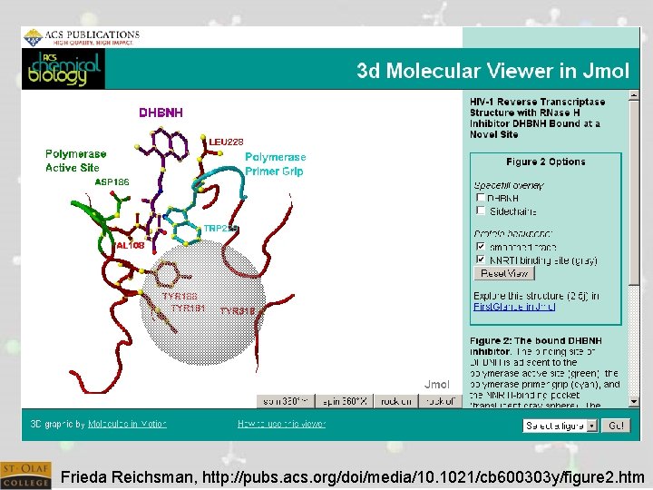 Frieda Reichsman, http: //pubs. acs. org/doi/media/10. 1021/cb 600303 y/figure 2. htm 