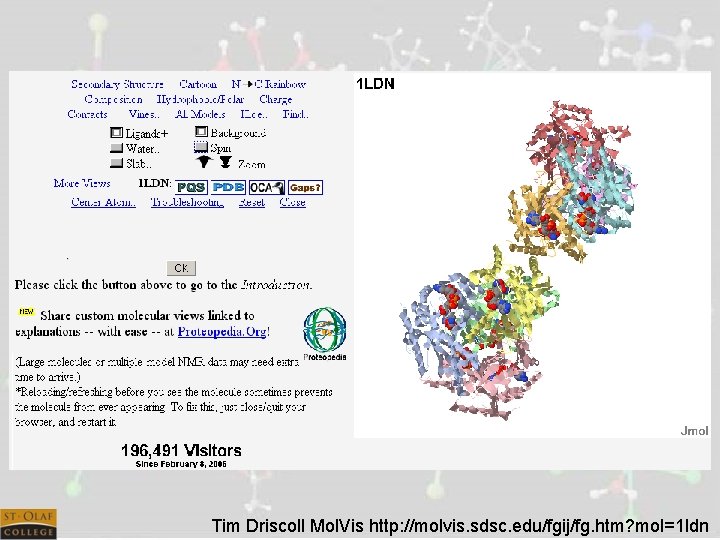 Tim Driscoll Mol. Vis http: //molvis. sdsc. edu/fgij/fg. htm? mol=1 ldn 