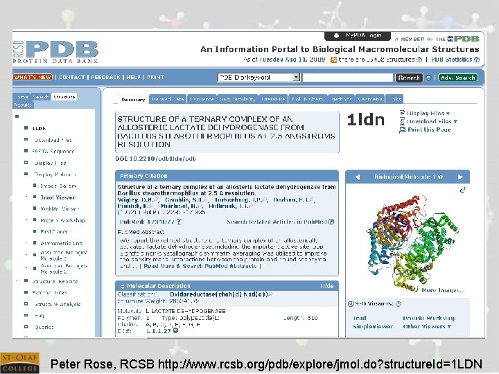 Peter Rose, RCSB http: //www. rcsb. org/pdb/explore/jmol. do? structure. Id=1 LDN 