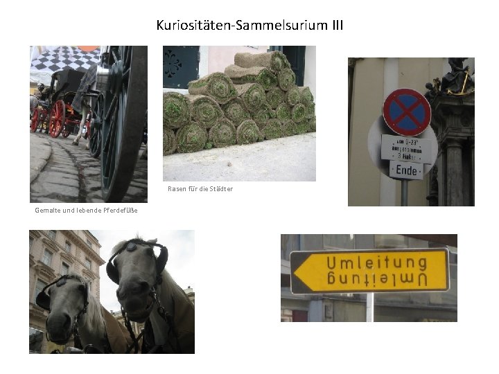 Kuriositäten-Sammelsurium III Rasen für die Städter Gemalte und lebende Pferdefüße Kuriositäten-Sammelsurium III Rasen für die Städter Gemalte und lebende Pferdefüße