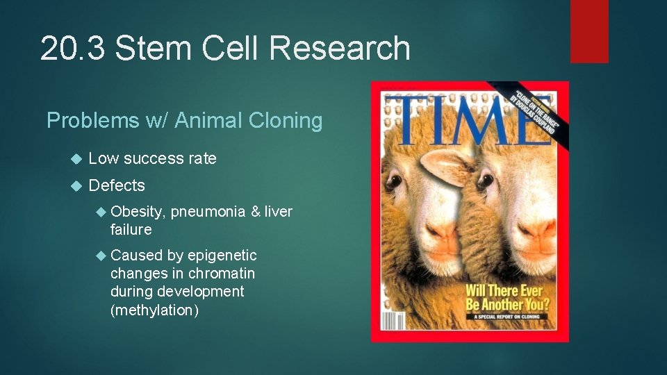 20. 3 Stem Cell Research Problems w/ Animal Cloning Low success rate Defects Obesity,