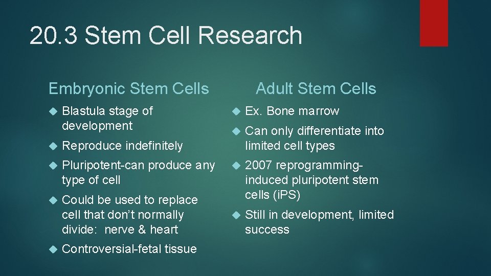 20. 3 Stem Cell Research Embryonic Stem Cells Blastula stage of development Reproduce indefinitely