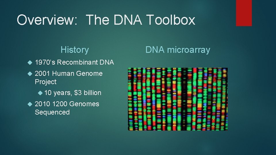 Overview: The DNA Toolbox History 1970’s Recombinant DNA 2001 Human Genome Project 10 years,