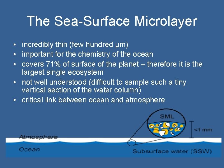 The Sea-Surface Microlayer • incredibly thin (few hundred µm) • important for the chemistry