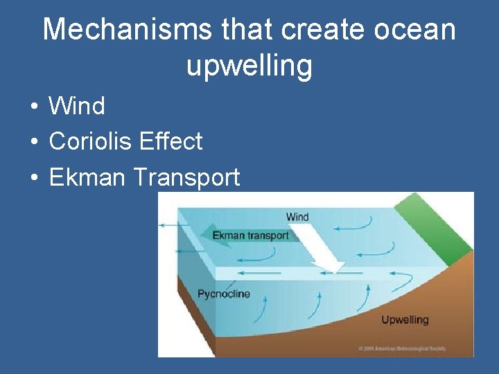 Mechanisms that create ocean upwelling • Wind • Coriolis Effect • Ekman Transport 