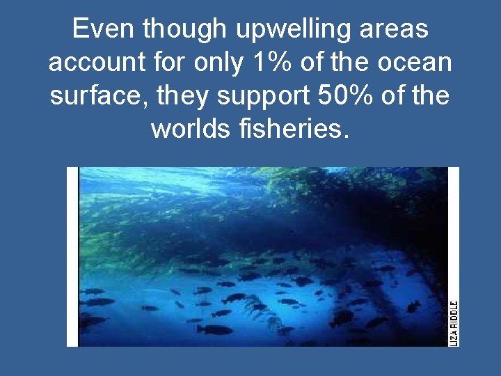 Even though upwelling areas account for only 1% of the ocean surface, they support