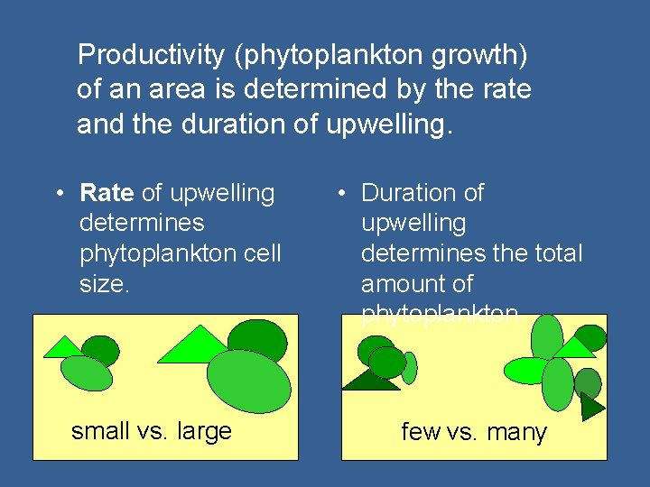 Productivity (phytoplankton growth) of an area is determined by the rate and the duration