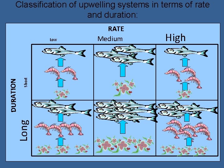 Classification of upwelling systems in terms of rate and duration: Short High Long DURATION