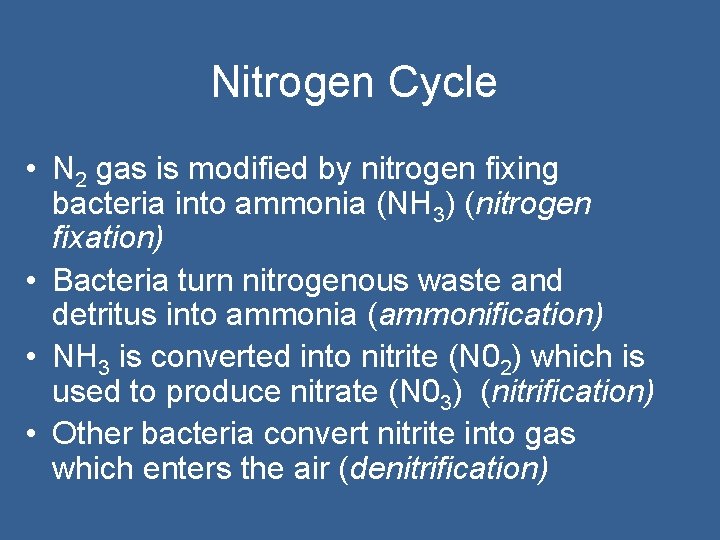 Nitrogen Cycle • N 2 gas is modified by nitrogen fixing bacteria into ammonia