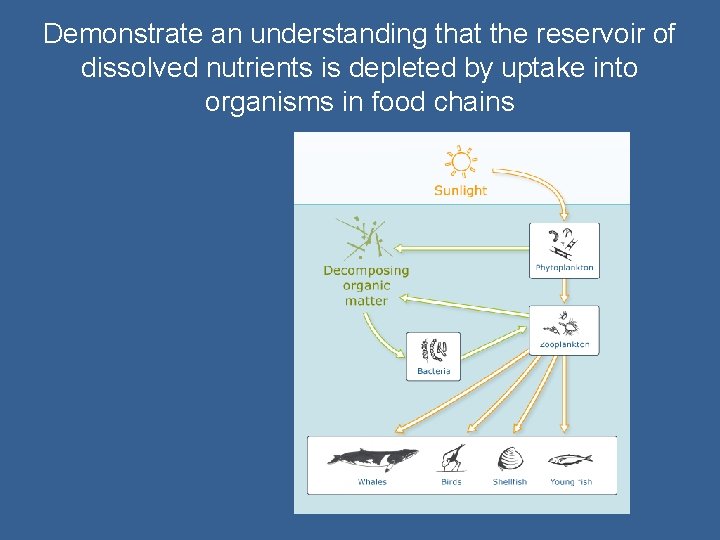 Demonstrate an understanding that the reservoir of dissolved nutrients is depleted by uptake into