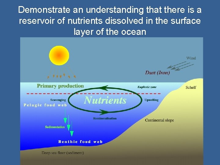 Demonstrate an understanding that there is a reservoir of nutrients dissolved in the surface