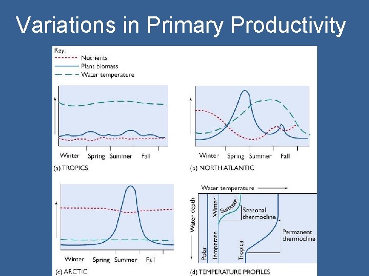 Variations in Primary Productivity 