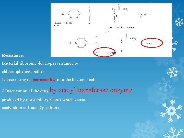 Resistance: Bacterial ribosome develops resistance to chloramphenicol either 1. Decreasing its permeability into the