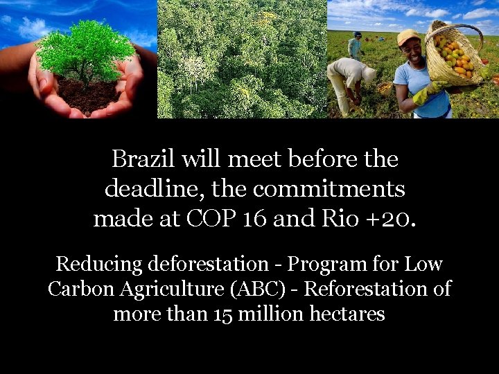 Brazil will meet before the deadline, the commitments made at COP 16 and Rio