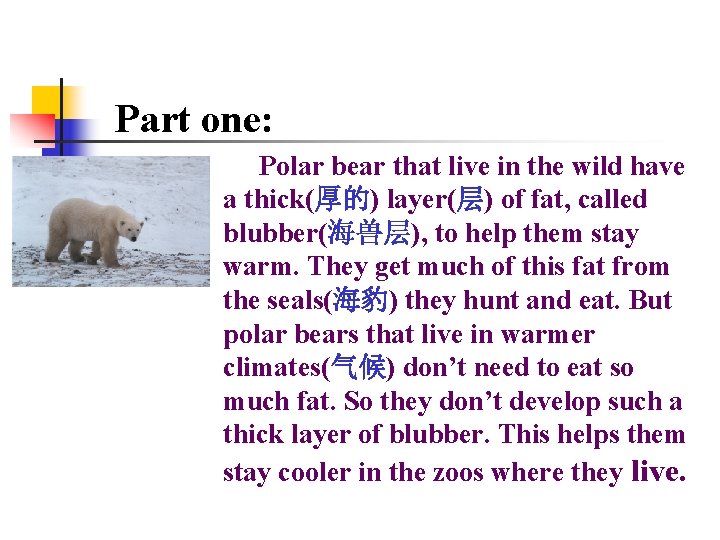 Part one: Polar bear that live in the wild have a thick(厚的) layer(层) of