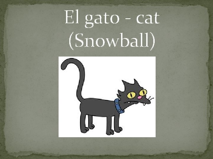 El gato - cat (Snowball) 