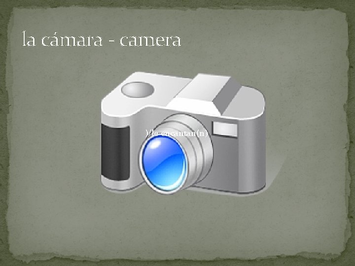 la cámara - camera )/le encantan(n) 