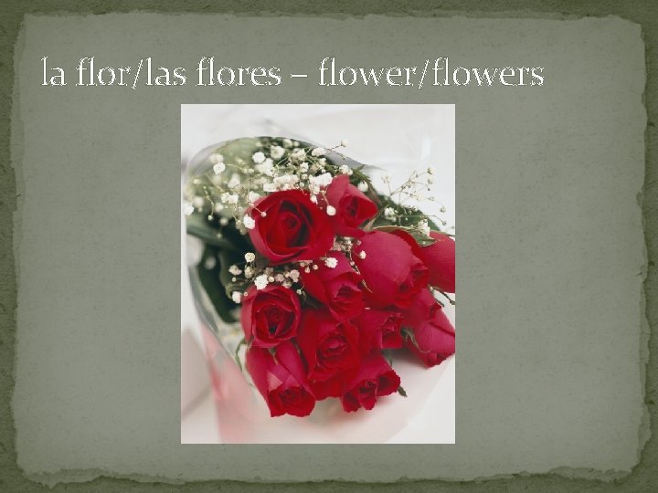 la flor/las flores – flower/flowers 