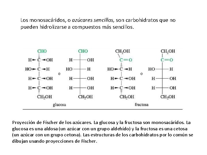 Los monosacáridos, o azúcares sencillos, son carbohidratos que no pueden hidrolizarse a compuestos más