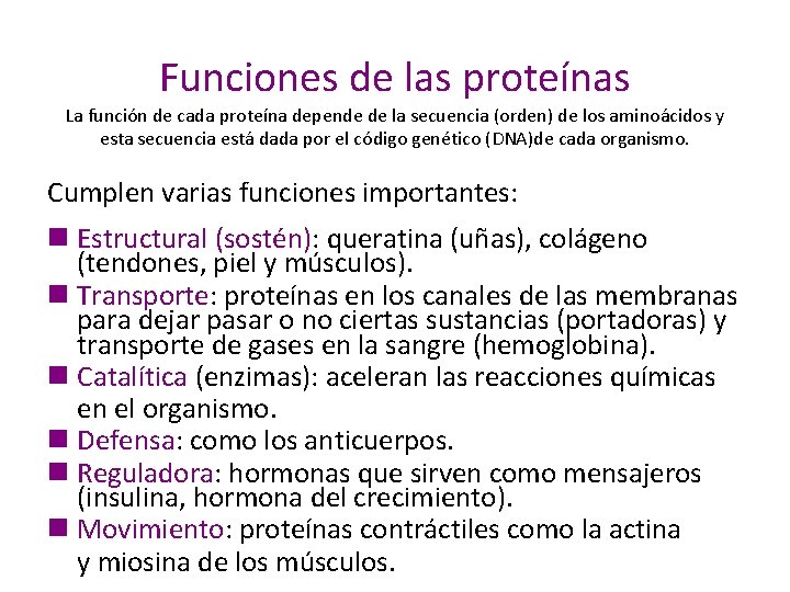 Funciones de las proteínas La función de cada proteína depende de la secuencia (orden)