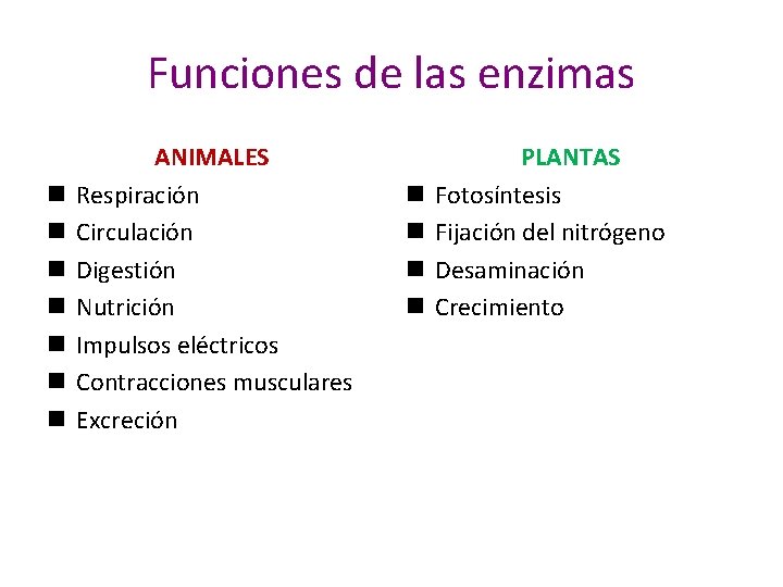 Funciones de las enzimas n n n n ANIMALES Respiración Circulación Digestión Nutrición Impulsos