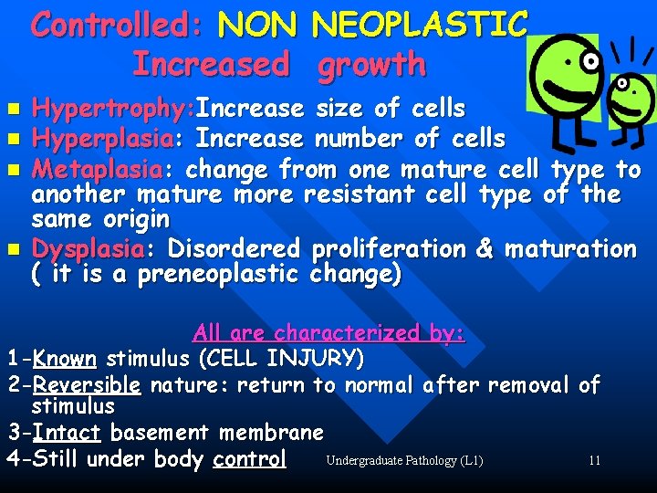 Controlled: NON NEOPLASTIC Increased growth n n Hypertrophy: Increase size of cells Hyperplasia: Increase