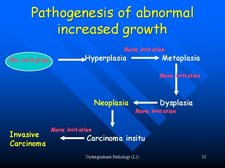 Pathogenesis of abnormal increased growth More. irritation Chr. irritation Hyperplasia Metaplasia More. irritation Neoplasia