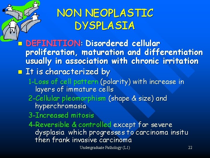 NON NEOPLASTIC DYSPLASIA n n DEFINITION: Disordered cellular proliferation, maturation and differentiation usually in