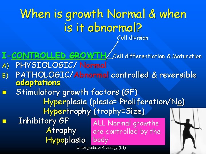 When is growth Normal & when is it abnormal? Cell division I-CONTROLLED GROWTH Cell