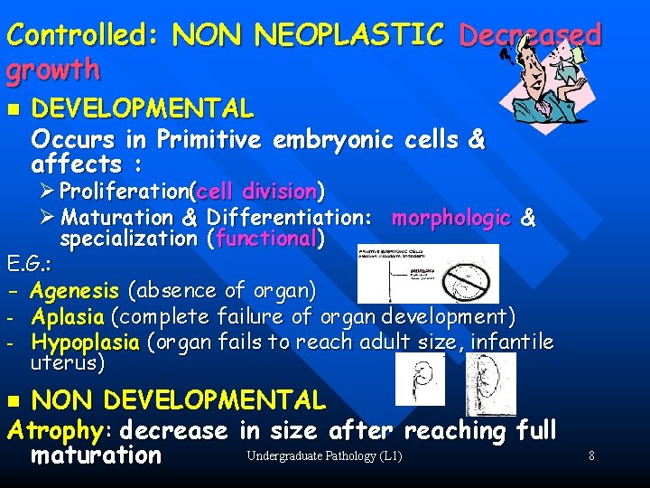 Controlled: NON NEOPLASTIC Decreased growth n DEVELOPMENTAL Occurs in Primitive embryonic cells & affects