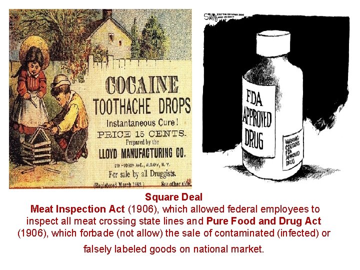 Square Deal Meat Inspection Act (1906), which allowed federal employees to inspect all meat