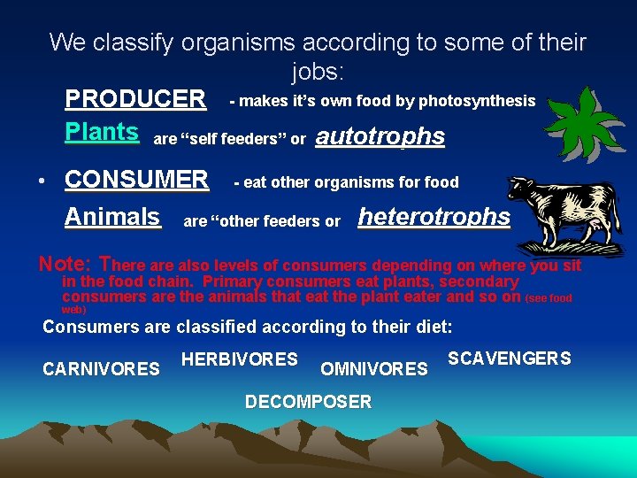 We classify organisms according to some of their jobs: PRODUCER - makes it’s own