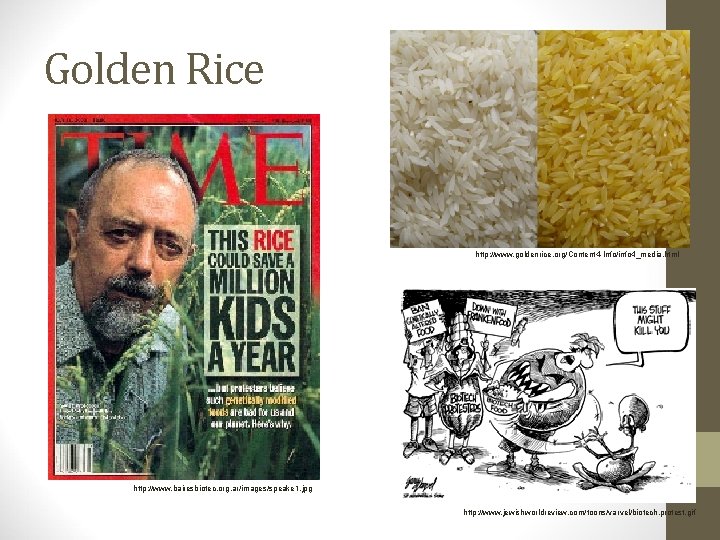Golden Rice http: //www. goldenrice. org/Content 4 -Info/info 4_media. html http: //www. bairesbiotec. org.