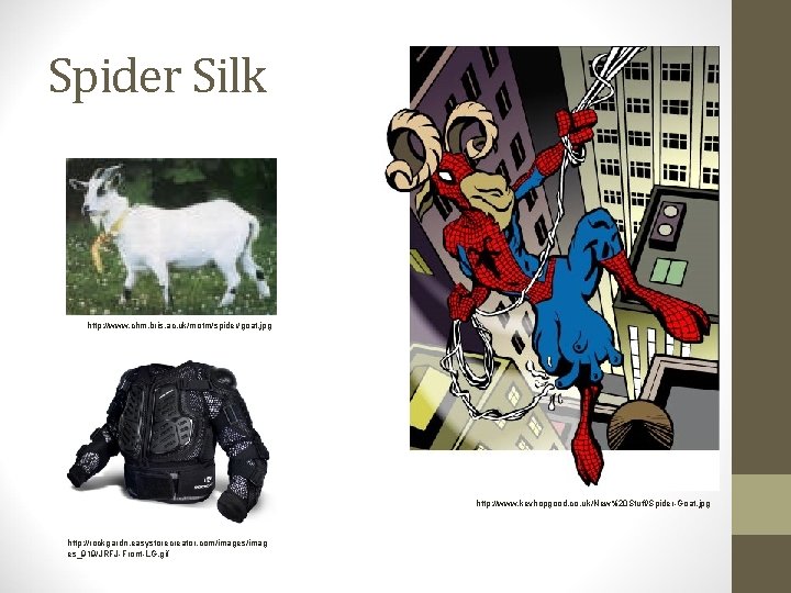 Spider Silk http: //www. chm. bris. ac. uk/motm/spider/goat. jpg http: //www. kevhopgood. co. uk/New%20