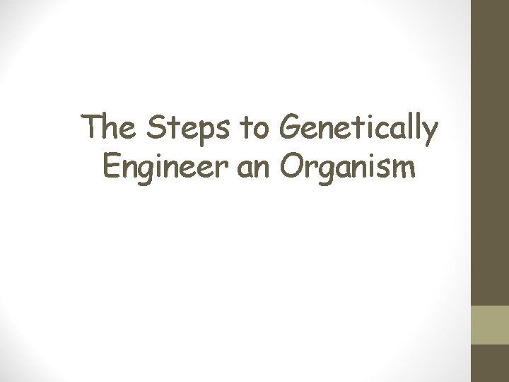 The Steps to Genetically Engineer an Organism 