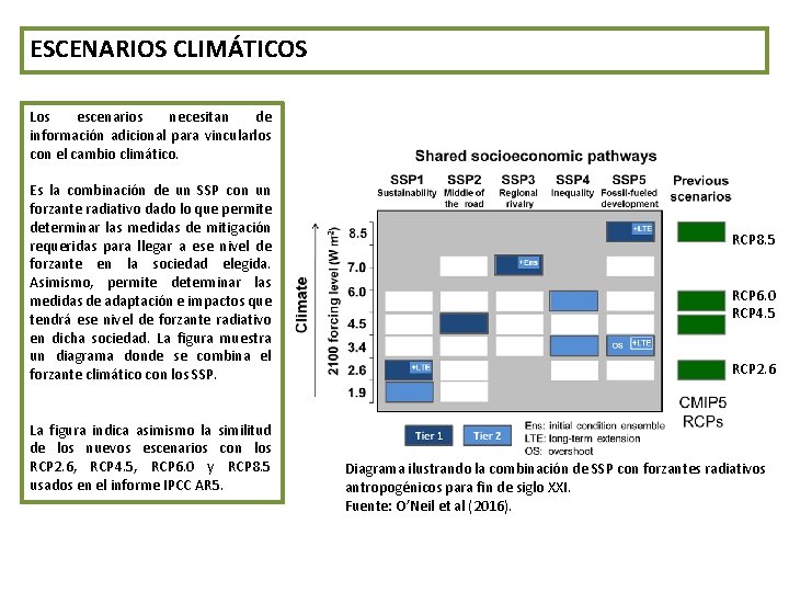 ESCENARIOS CLIMÁTICOS Los escenarios necesitan de información adicional para vincularlos con el cambio climático.