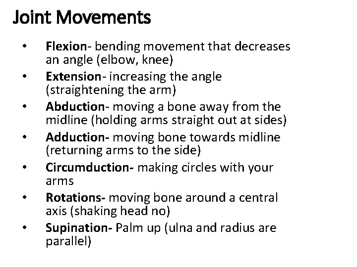 Joint Movements • • Flexion- bending movement that decreases an angle (elbow, knee) Extension-