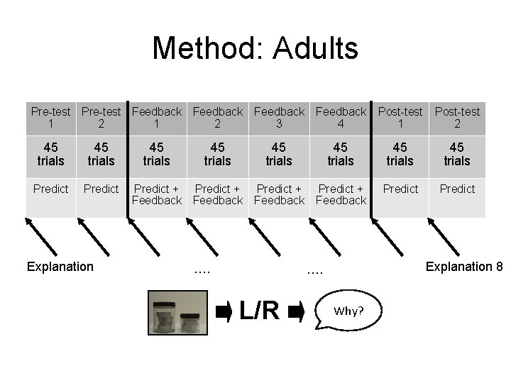 Method: Adults Pre-test Feedback 1 2 45 trials Predict Explanation 45 trials Predict +